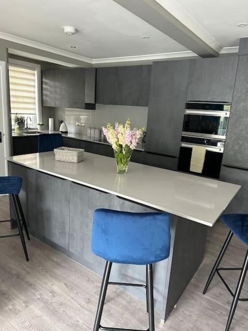 Cameron Coach House Modern Property In Murrayfield إدنبرة المظهر الخارجي الصورة